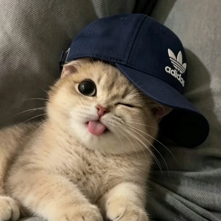 EinPero Profile Photo